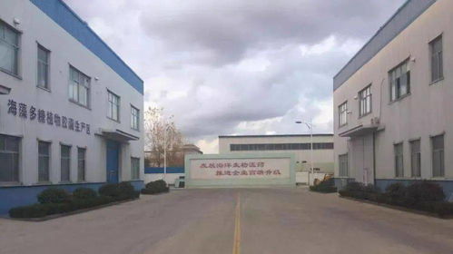 頭版頭條 新區獲贊 媒體看新區