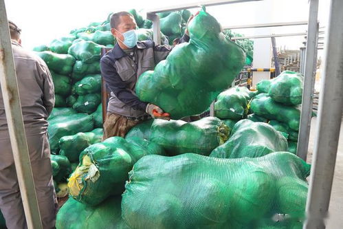 青島西海岸新區供銷社攜手新材料科技助力湖北農產品破解滯銷困局